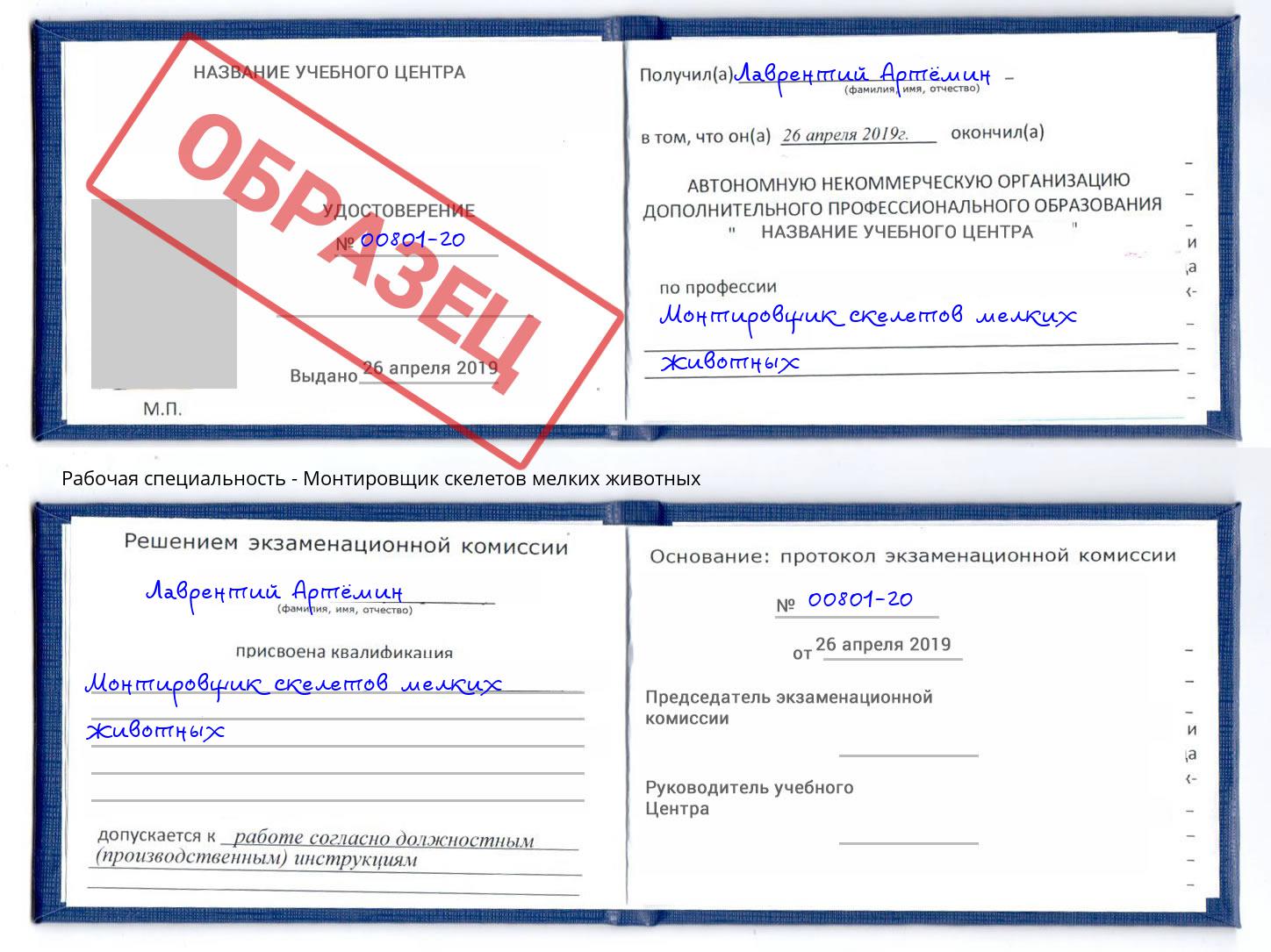 Монтировщик скелетов мелких животных Братск