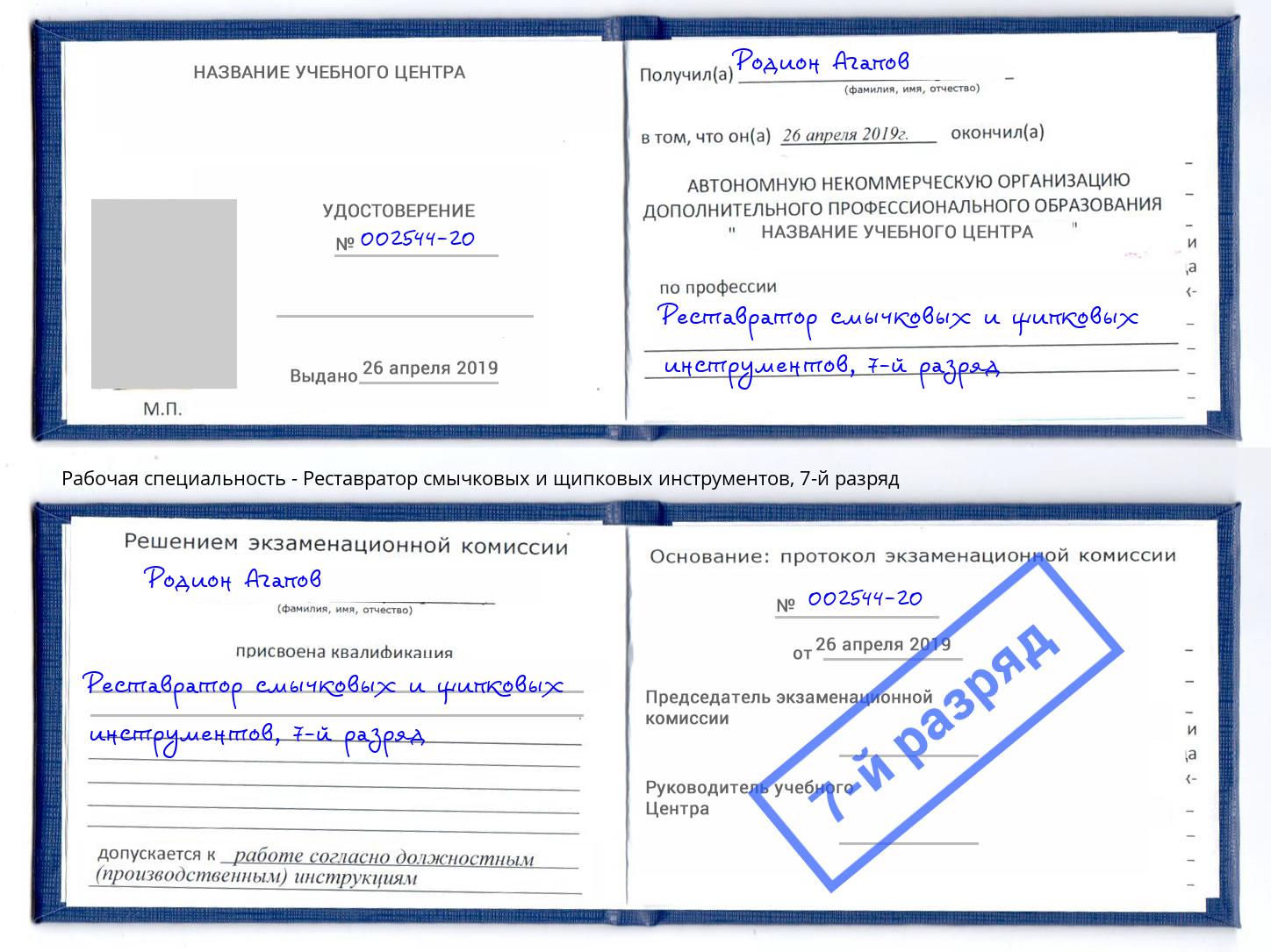 корочка 7-й разряд Реставратор смычковых и щипковых инструментов Братск